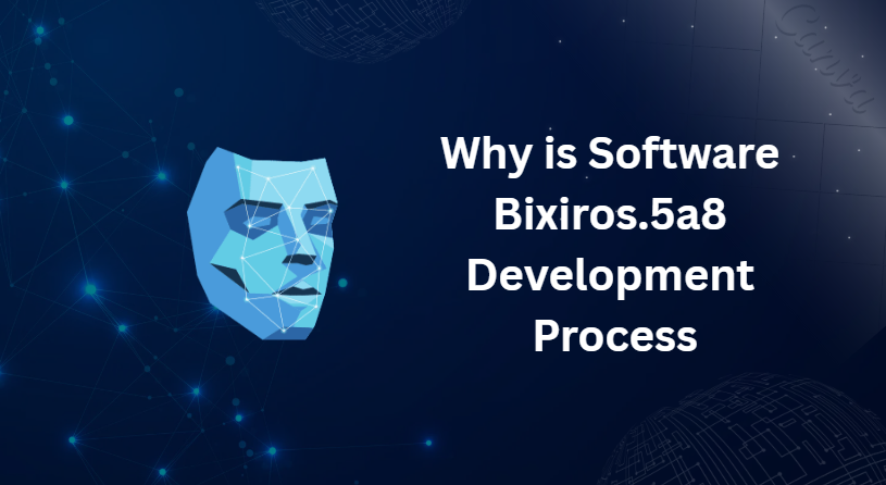 Why is Software Bixiros.5a8 Development Process